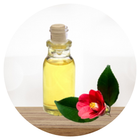 Camelia oil