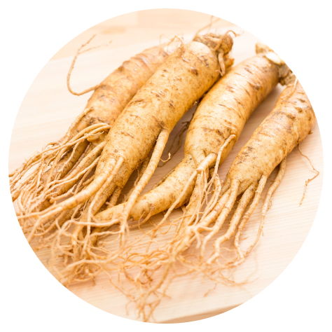 Ginseng extract